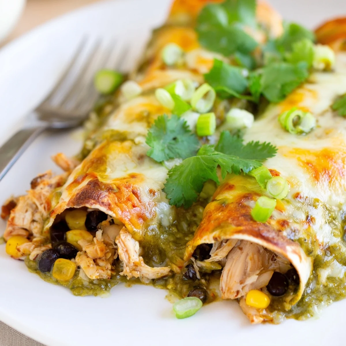 Tender chicken and bean filled enchiladas smothered in tangy green salsa and bubbly melted cheese