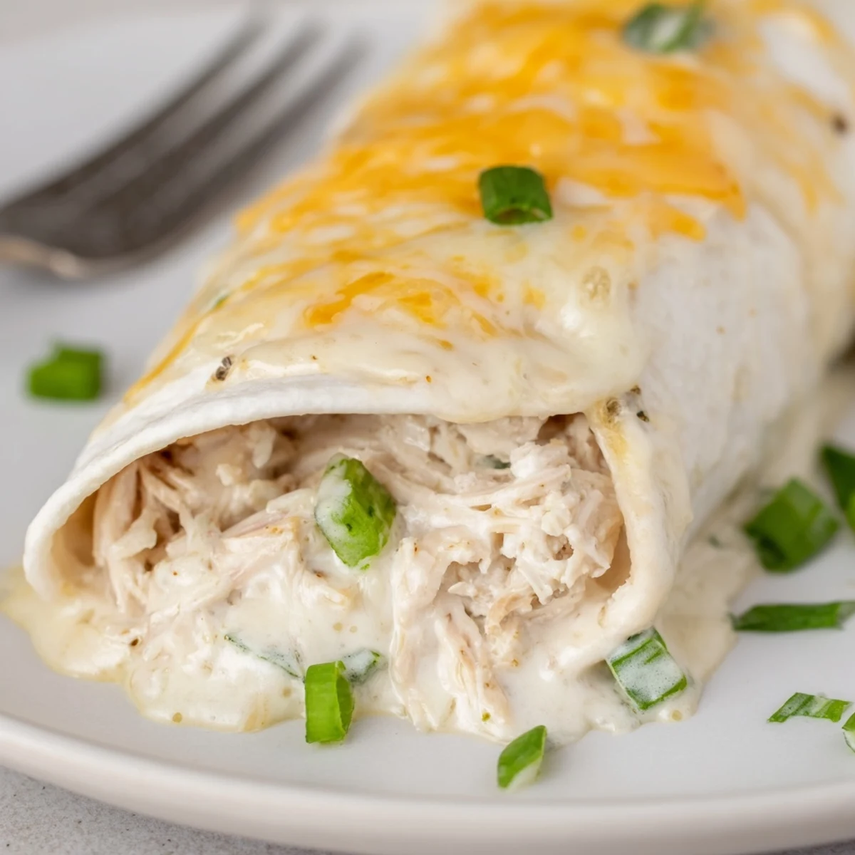 Creamy White Chicken Enchiladas bubbling golden, velvety sauce, melted cheese, garnished cilantro