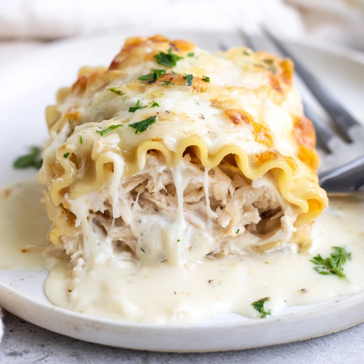 Creamy Garlic Parmesan Chicken Lasagna Roll Ups draped in rich béchamel sauce with bubbling cheese